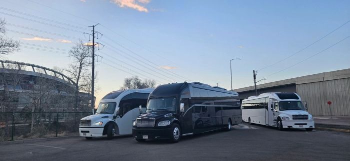 Black limo coach – Laporte limo service