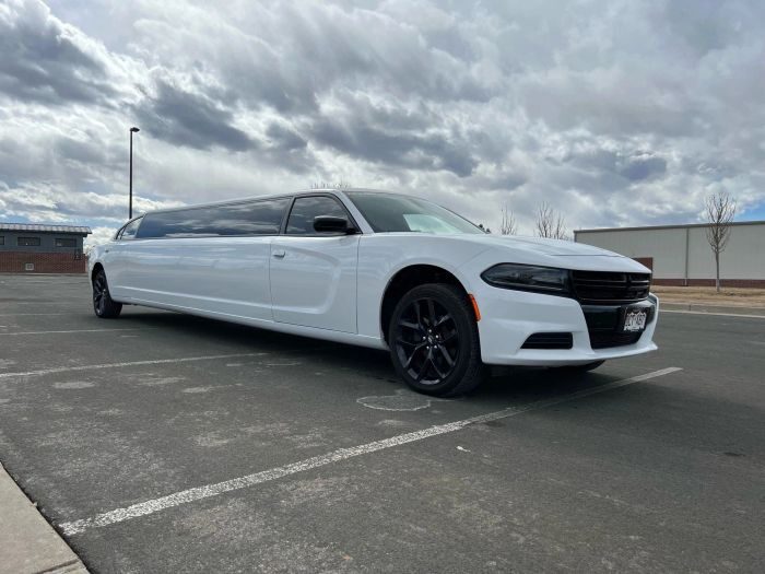 White stretch limo – Laporte limo service
